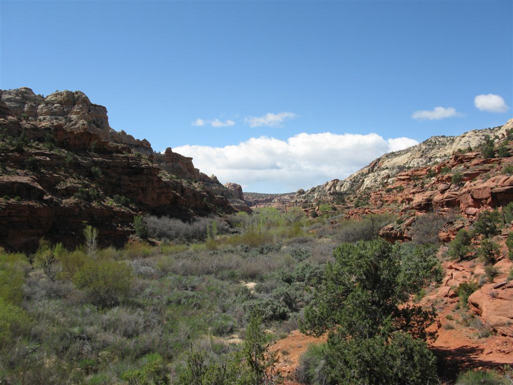 Calf Creek & Falls1.JPG