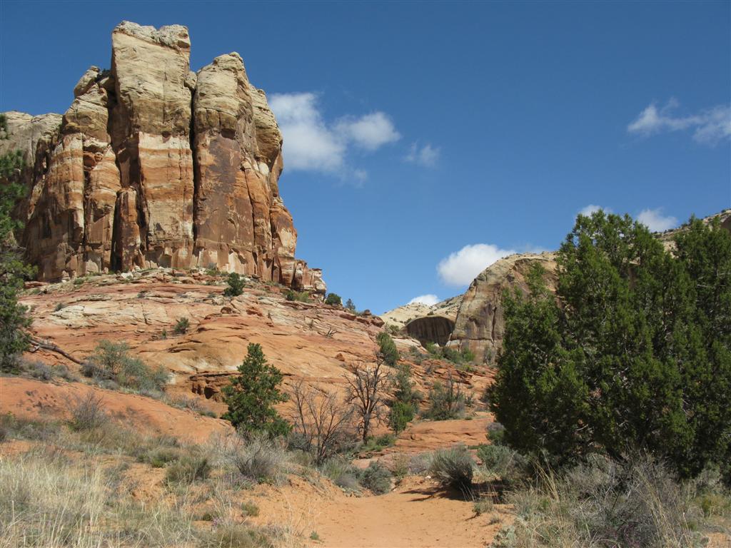 Calf Creek & Falls2.JPG