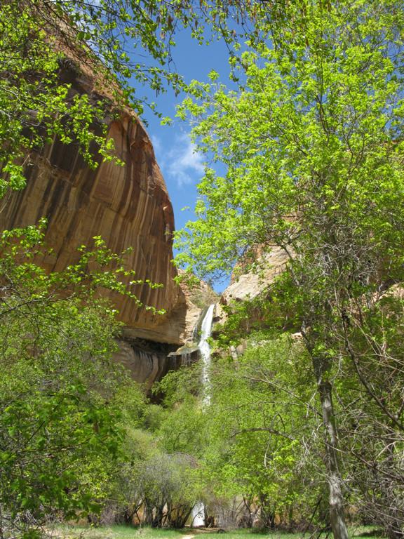 Calf Creek & Falls4.JPG
