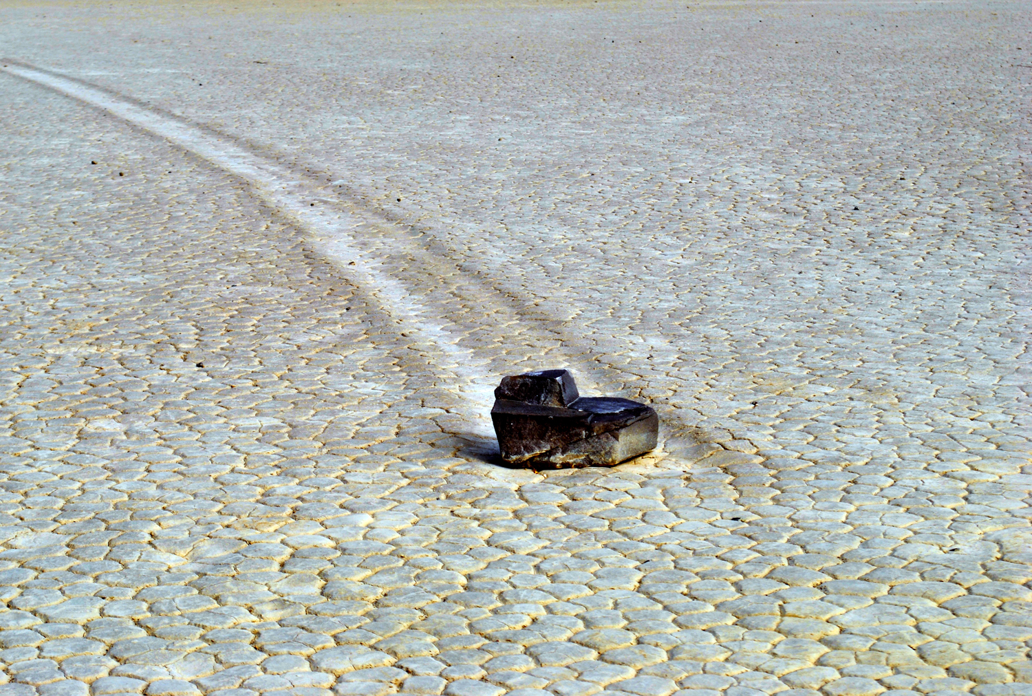 Race track 1