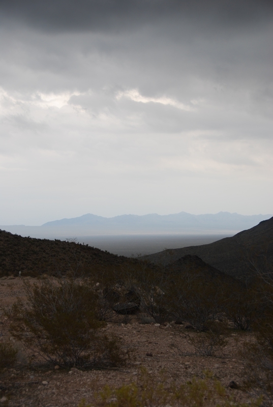 Desert Scenery 2