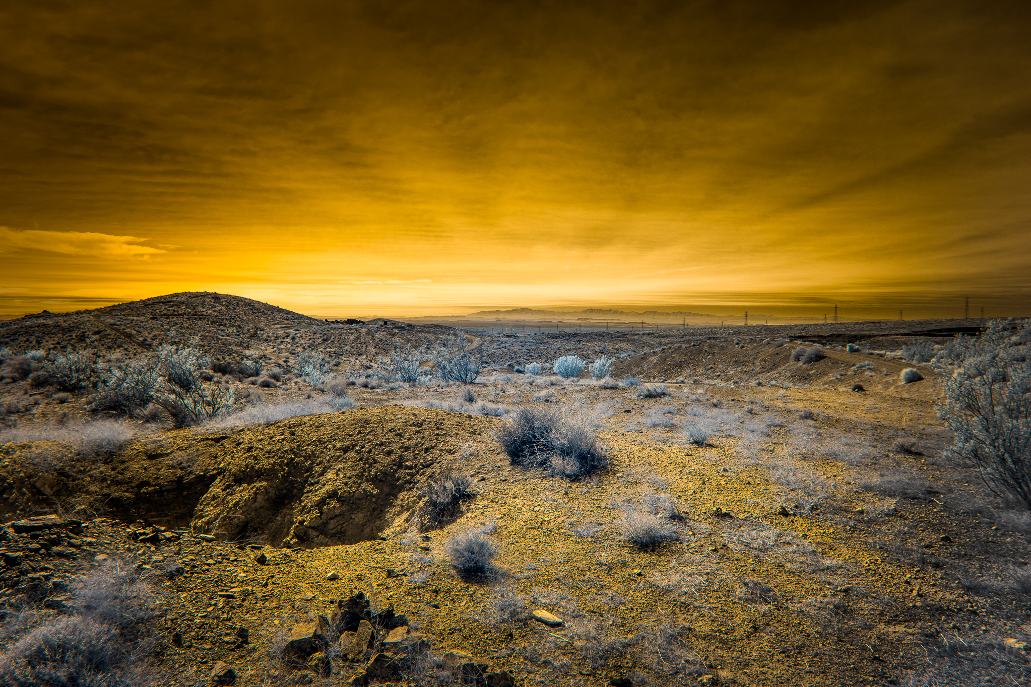 rand desert IR.jpg