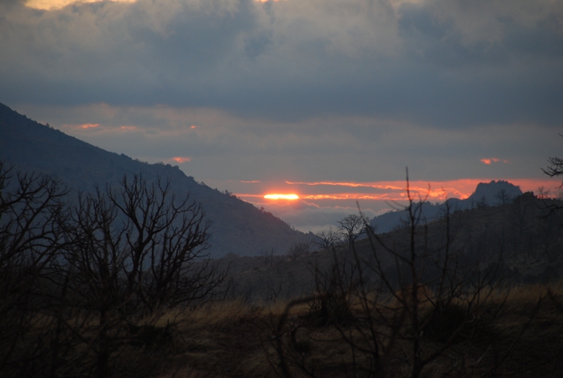 Sun-Up at Mid Hills