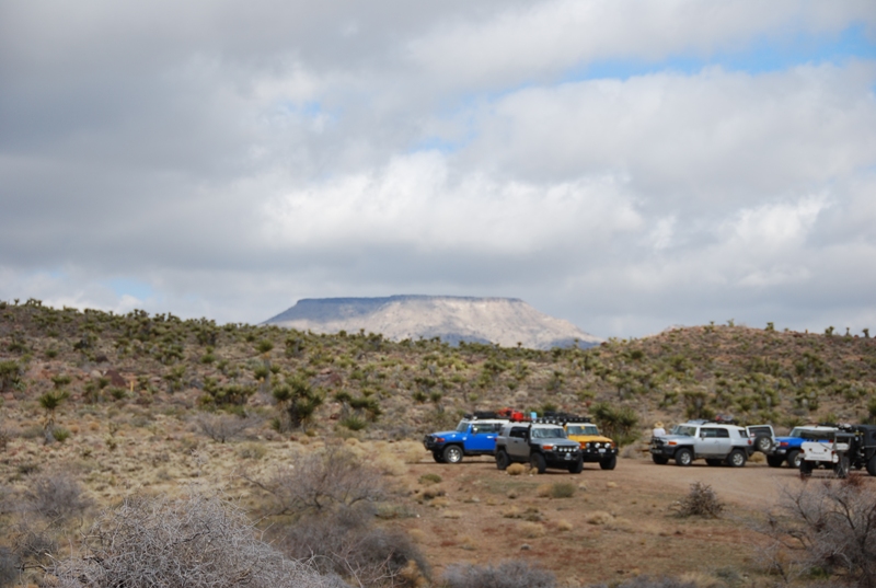 Desert Scenery 3