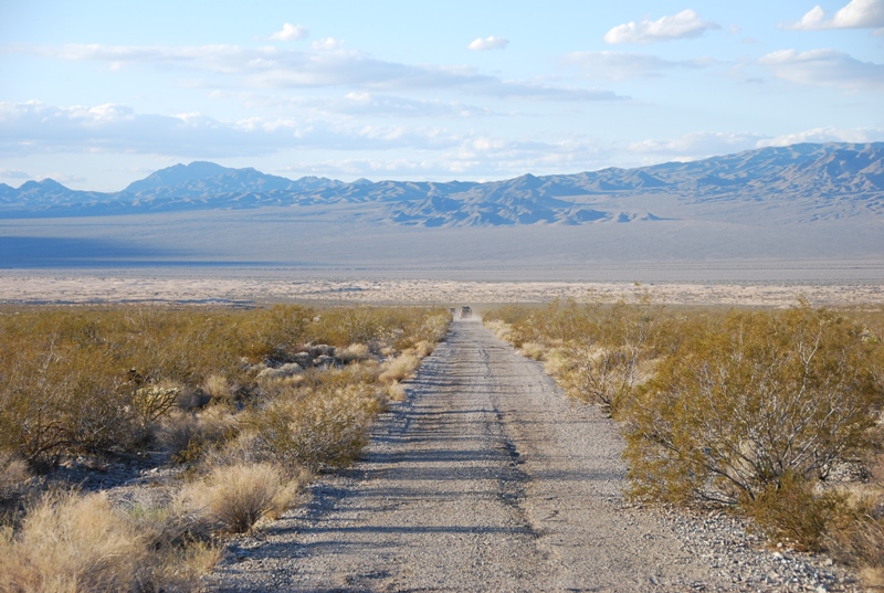 Desert Scenery at Kelso Dunes