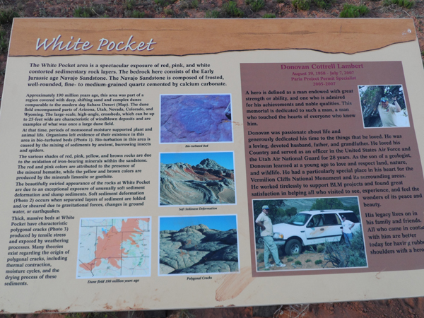 SAM_0363m.jpg