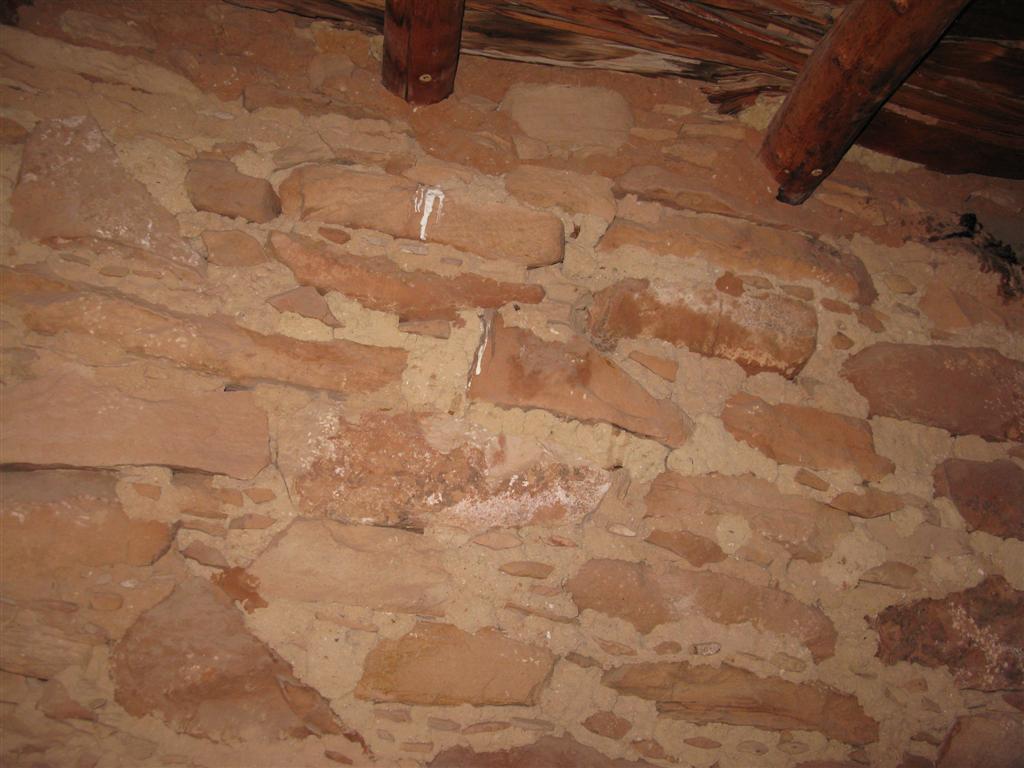 IMG_0419 (Large).JPG