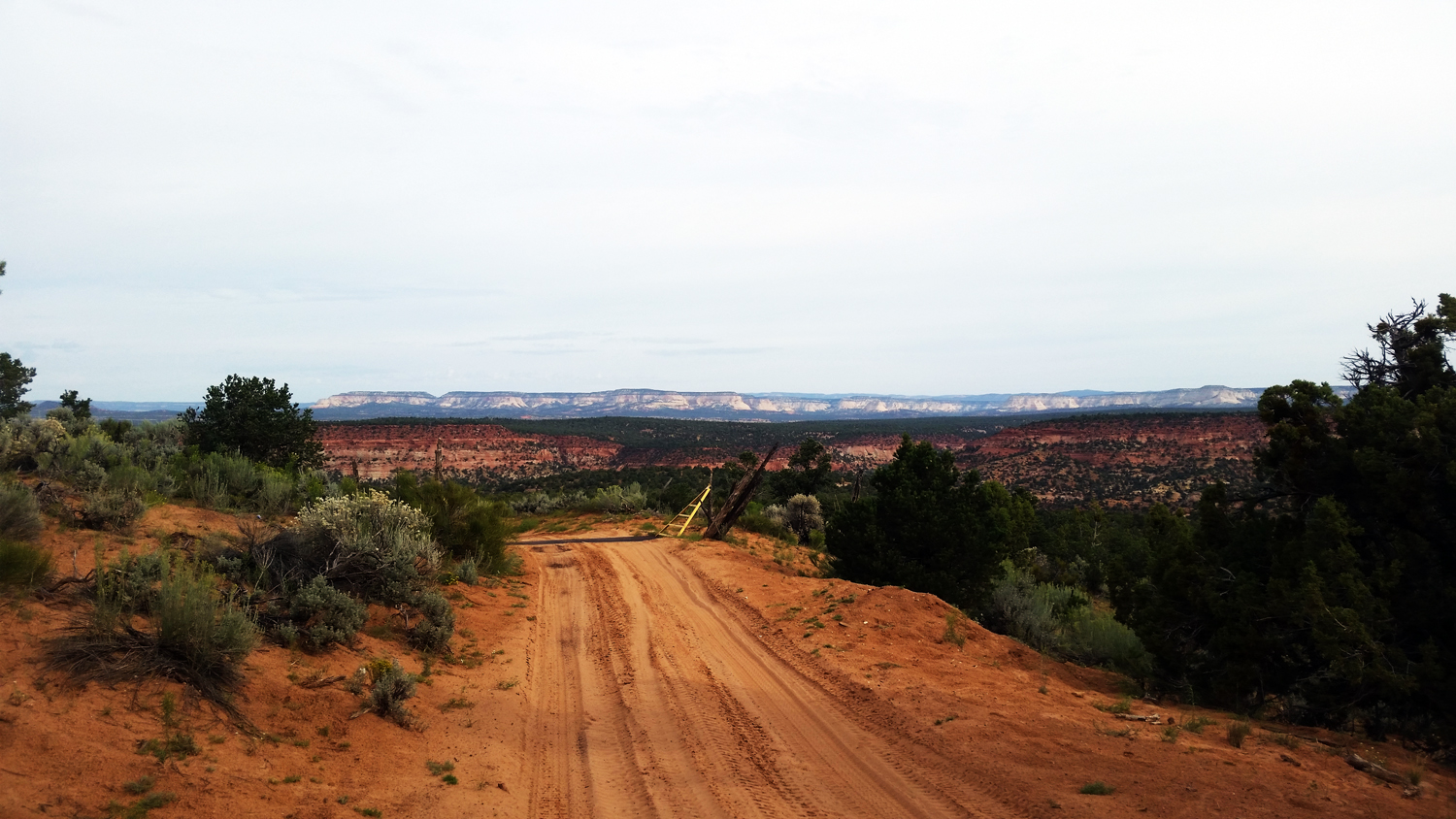 20150825_092539Lm.jpg