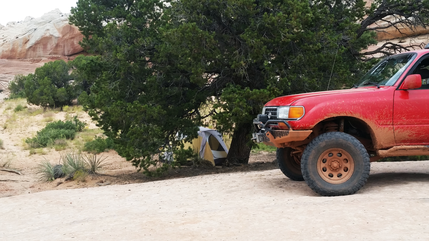 20150825_154456Lm.jpg
