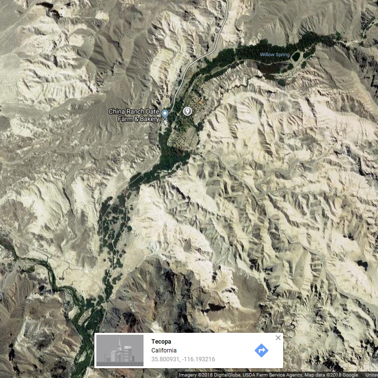 China Ranch Date Farm.jpg