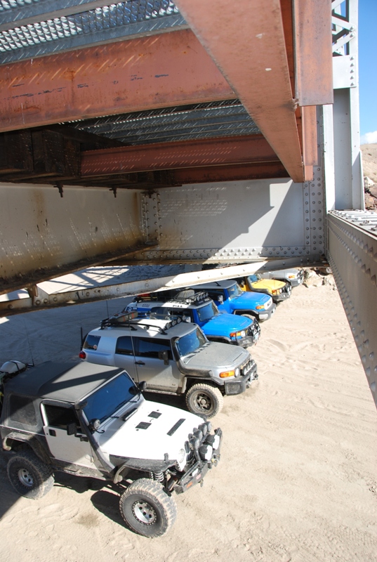 Lining Up for Lunch out of the Wind
