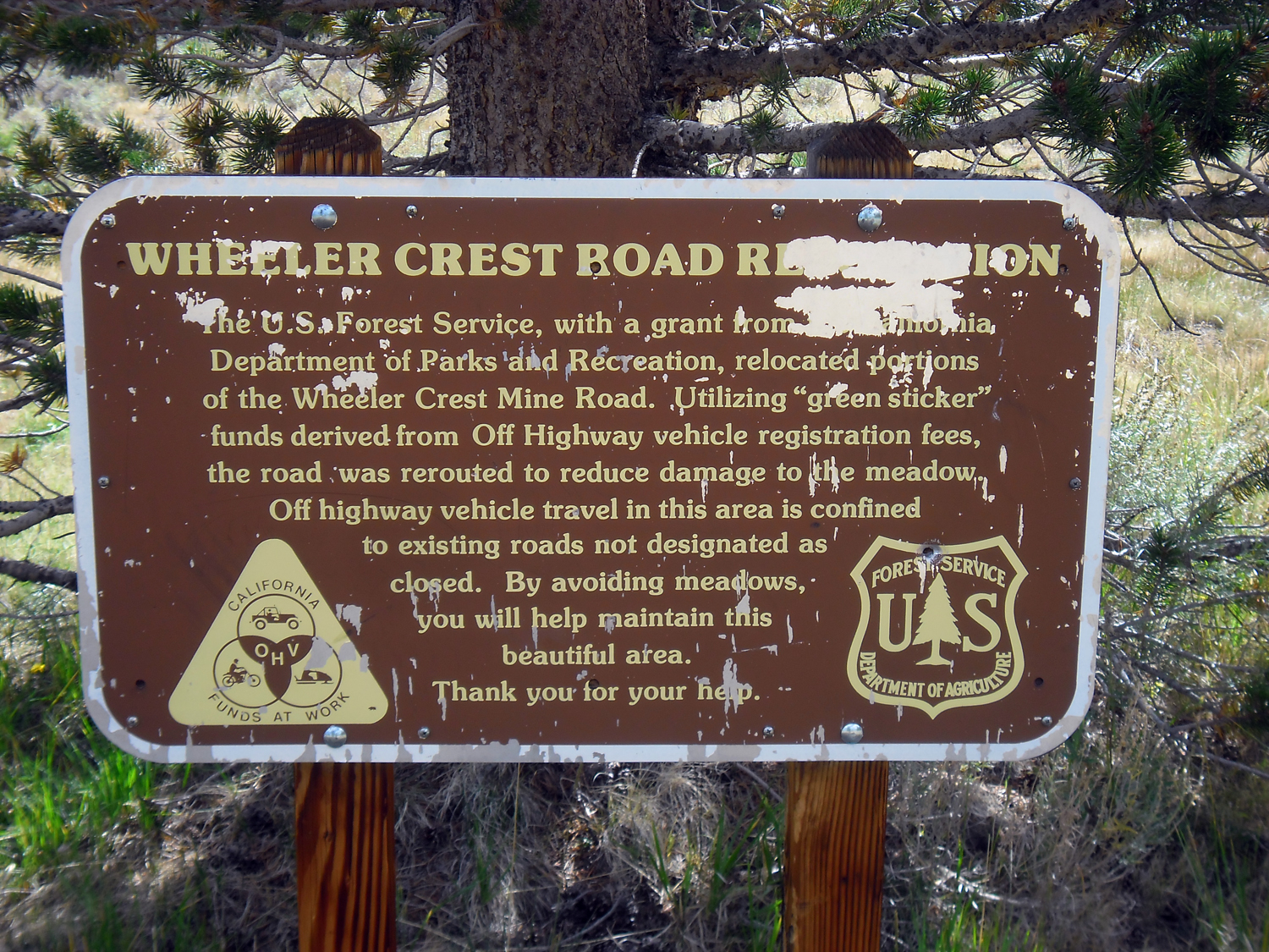 Crest02.jpg