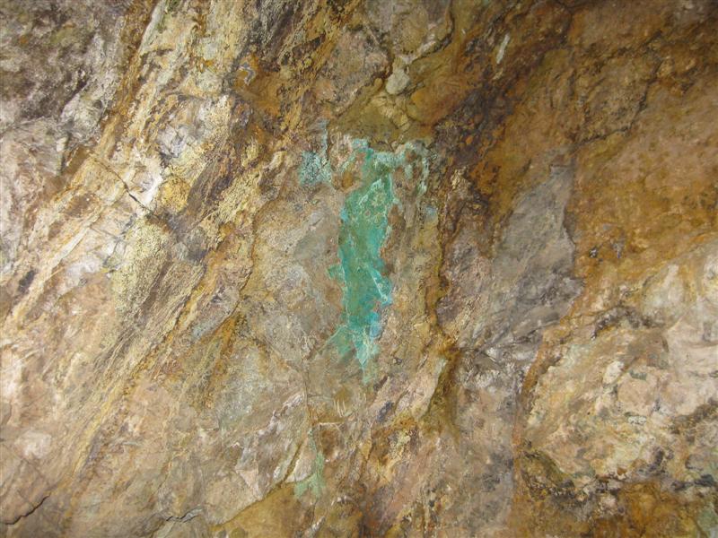 IMG_0883 (Medium).JPG