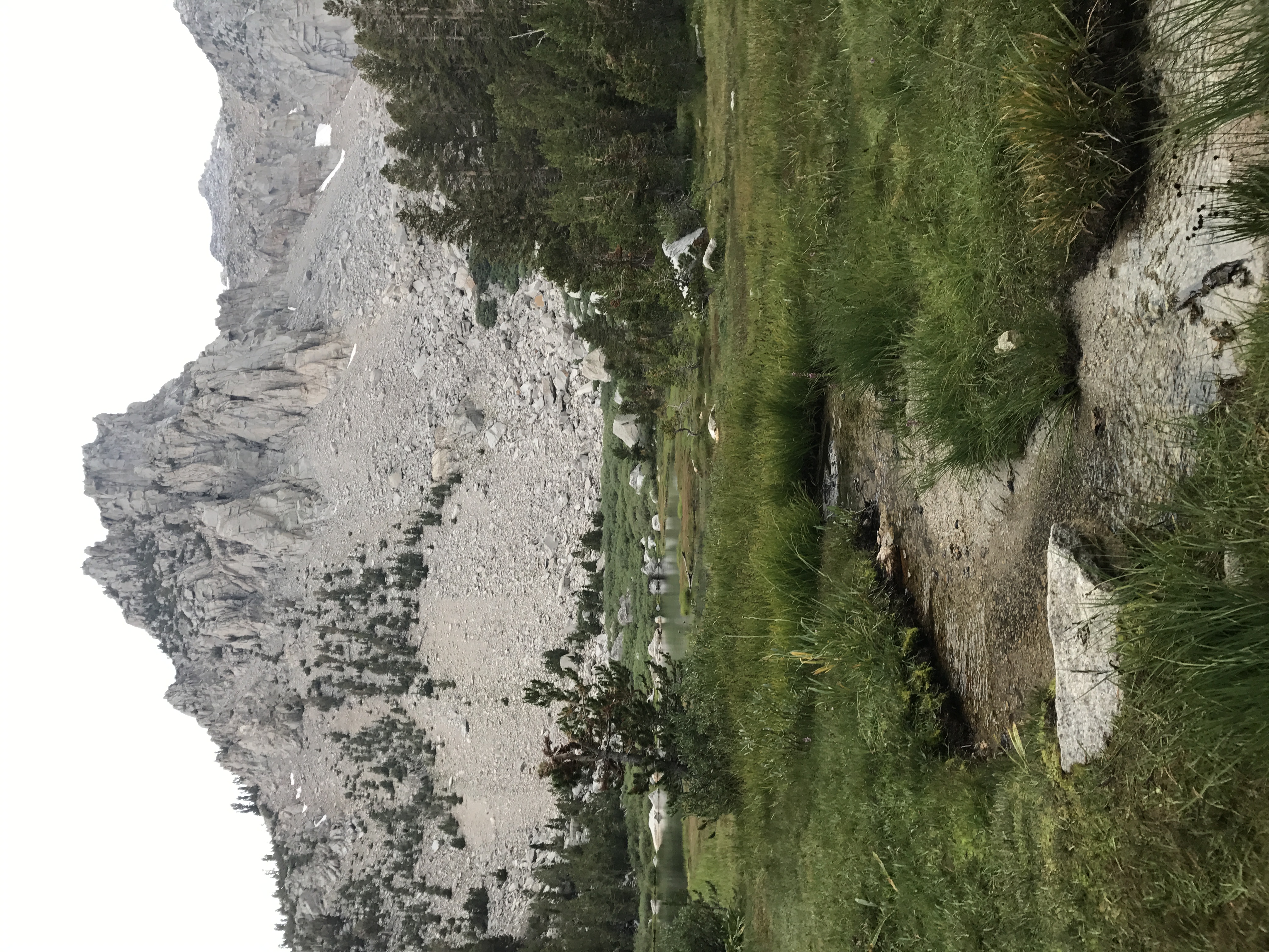 2EC27190-CA6A-4AF1-95A9-9B18BD9B1BD7.jpeg