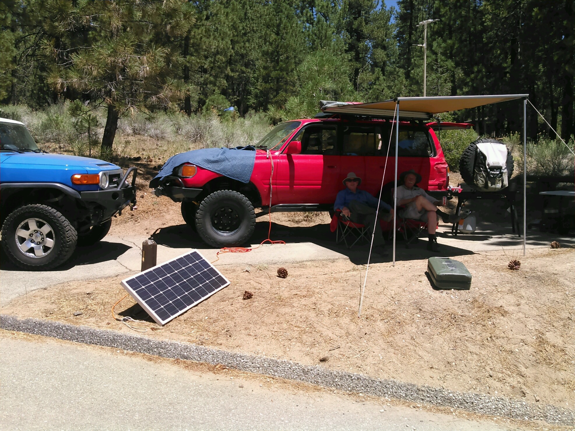 Made in the shade.jpg