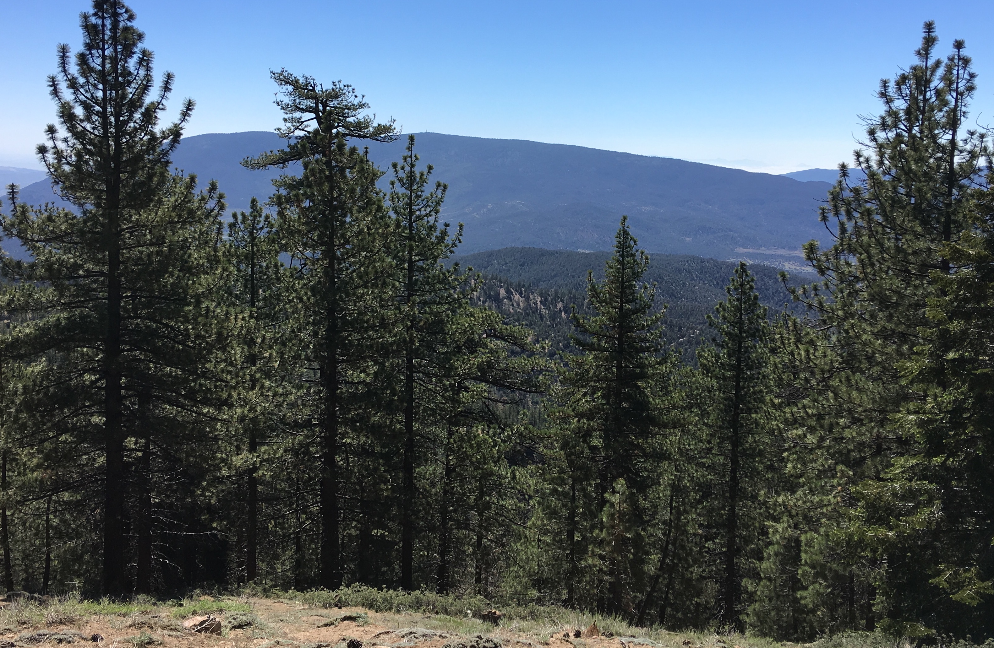 One incredible view!