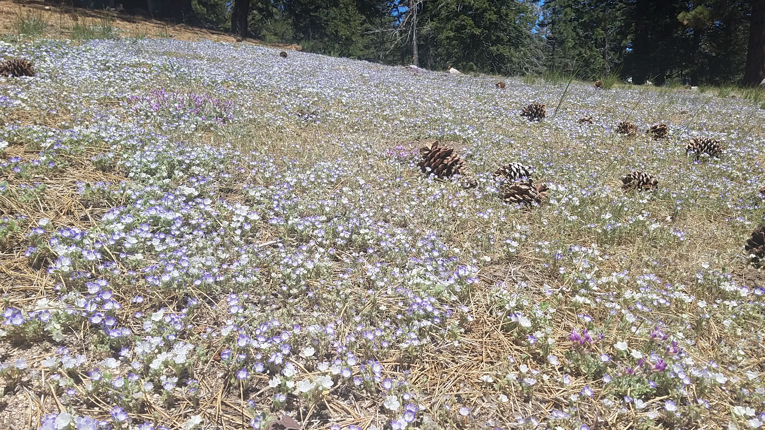 20190621_113023.jpg