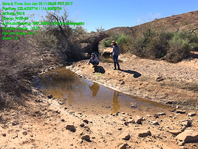 20170129 110606 Tadpole Tank.jpg