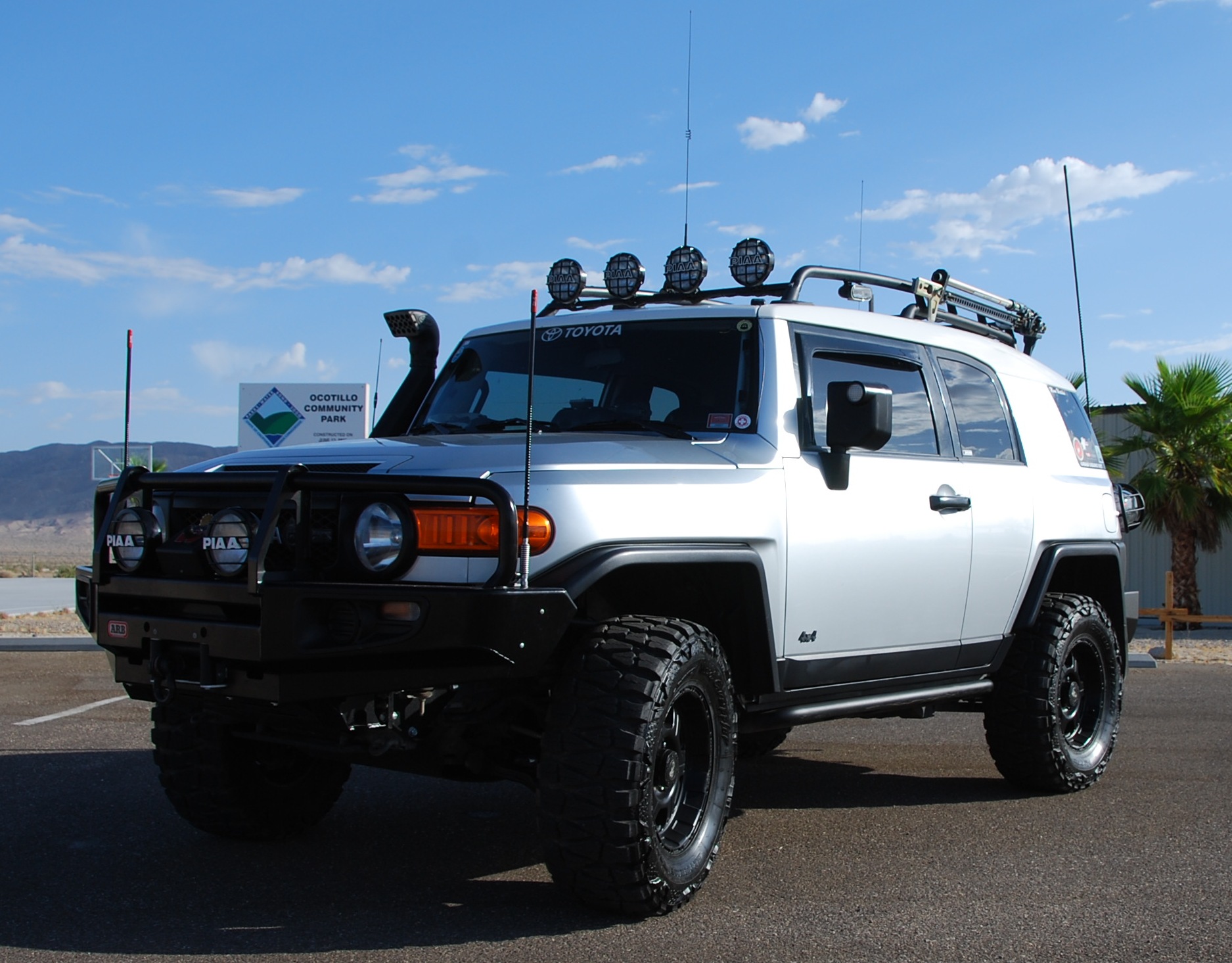 "BugEater" at Ocotillo toen park...