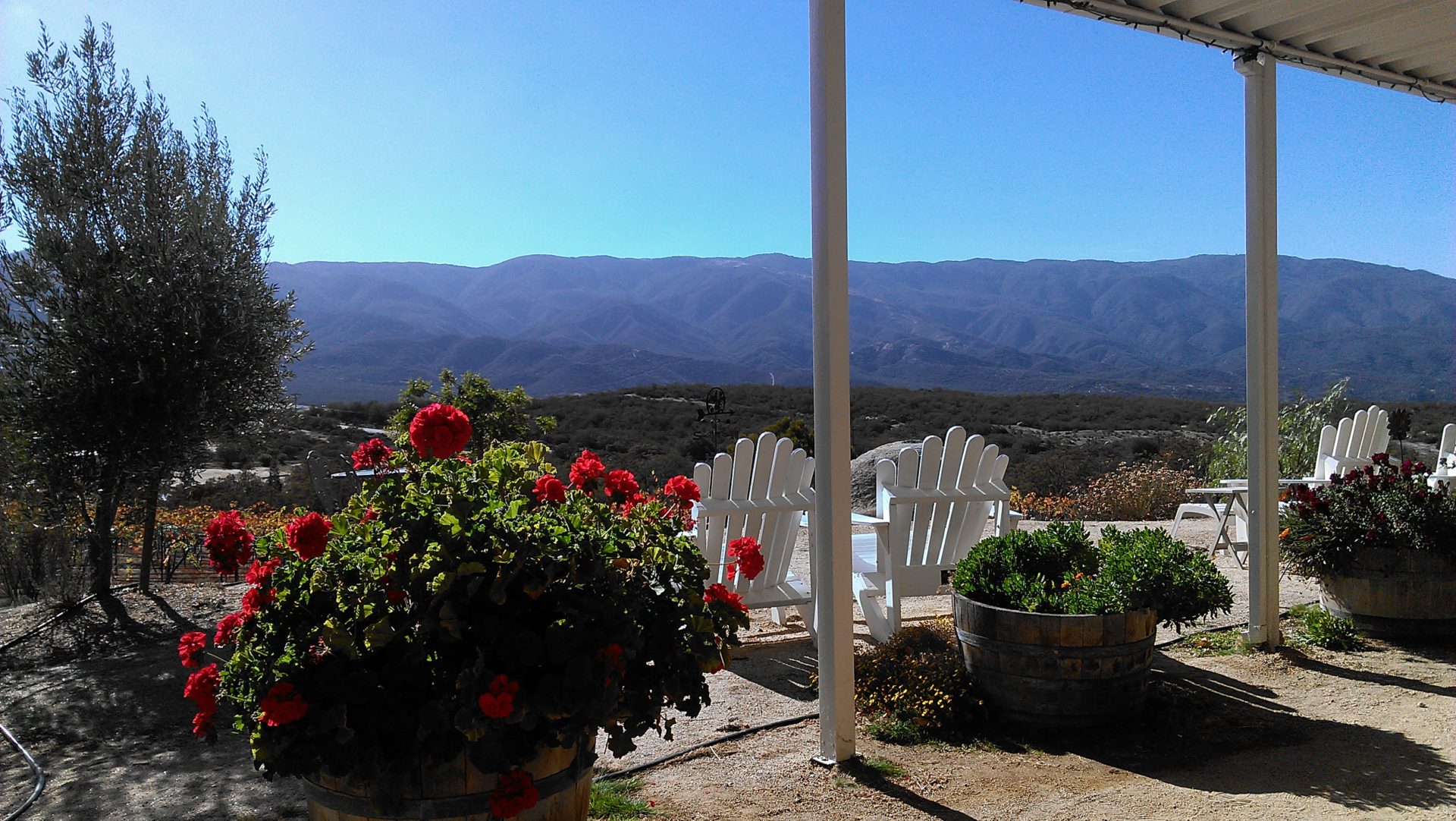 Hawk Watch Winery.jpg