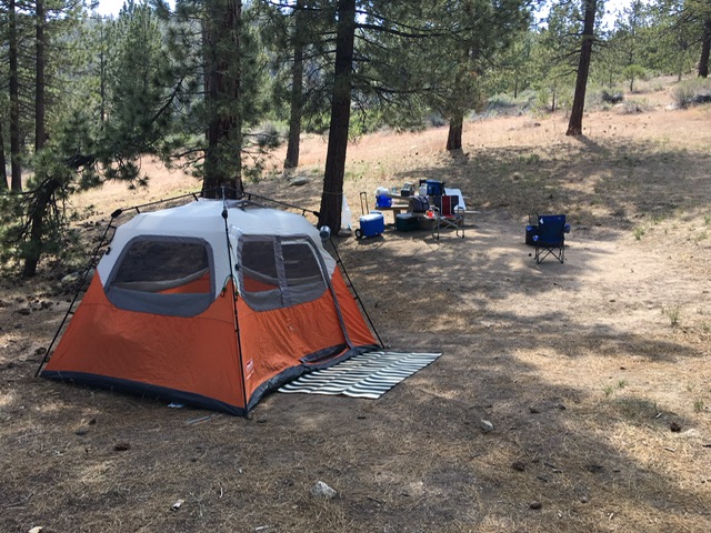 Coleman quick set up tent