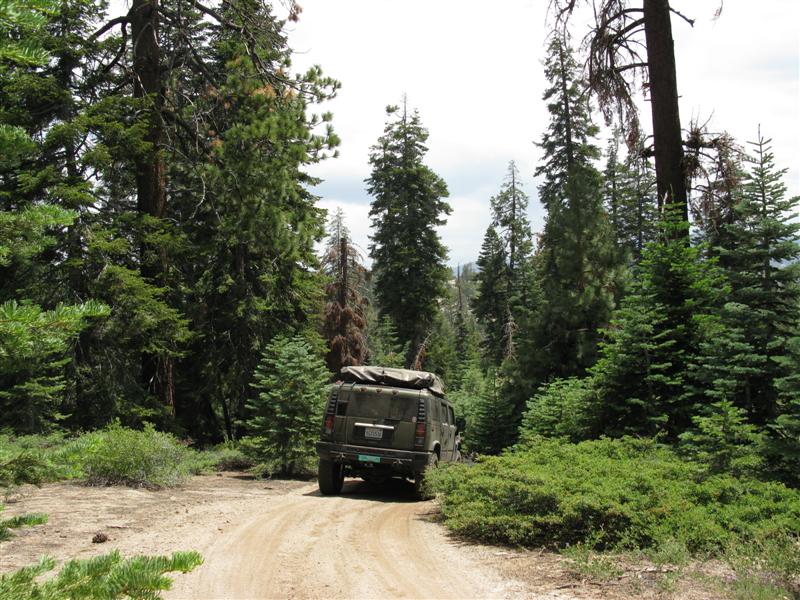 H2 Roof Rack Carrier w cover.JPG