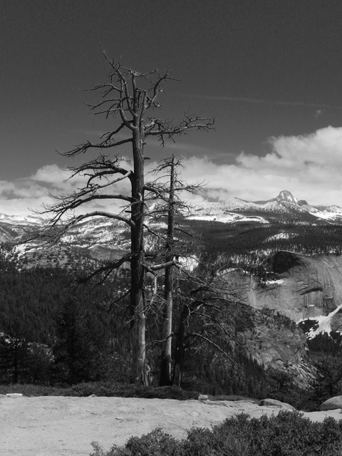 Yosemite 32.JPG