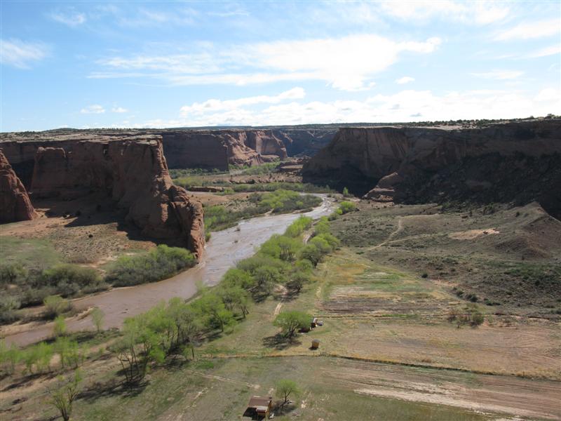 IMG_1137 (Medium).JPG