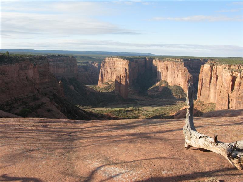 IMG_1221 (Medium).JPG