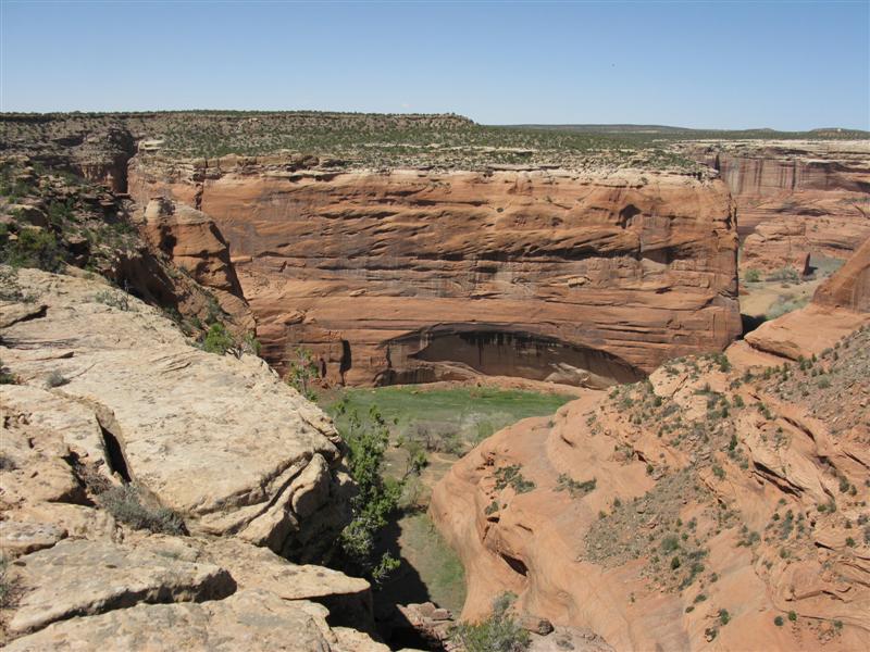 IMG_1279 (Medium).JPG