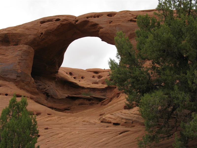 IMG_0293 (Medium).JPG