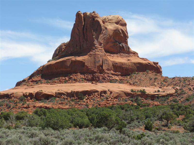 IMG_0008 (Medium).JPG