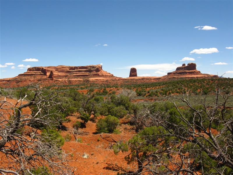 IMG_0012 (Medium).JPG