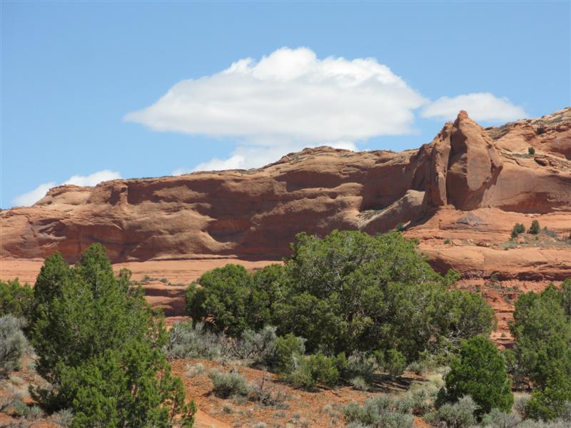 IMG_0010 (Medium).JPG