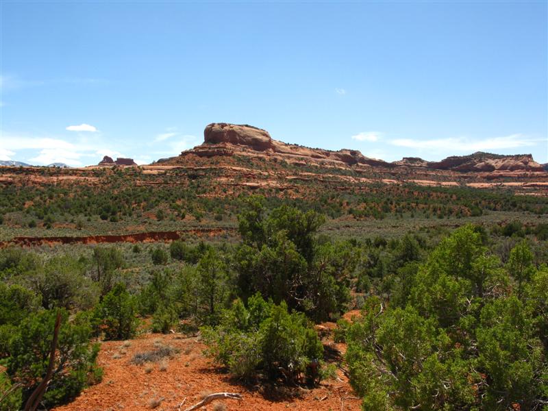 IMG_0013 (Medium).JPG