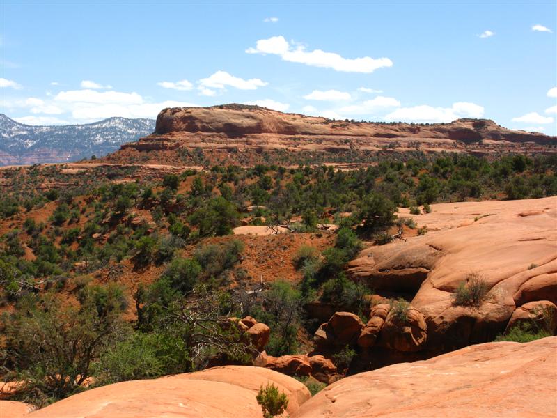 IMG_0016 (Medium).JPG