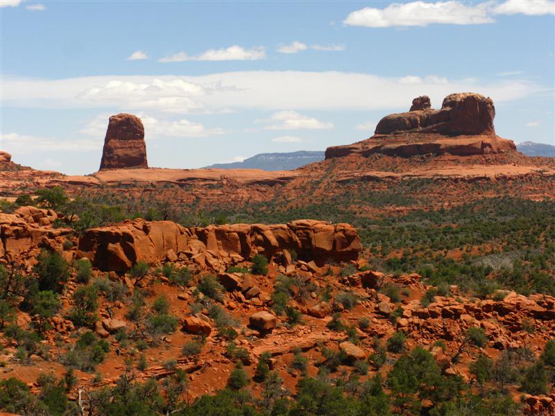 IMG_0017 (Medium).JPG