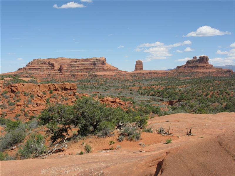 IMG_0060 (Medium).JPG