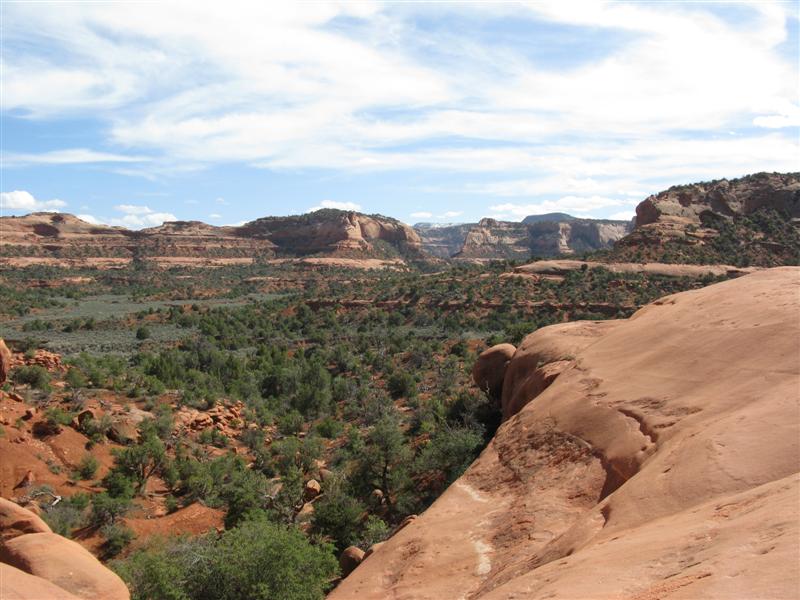 IMG_0063 (Medium).JPG