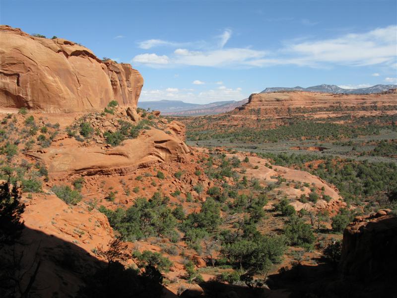 IMG_0083 (Medium).JPG