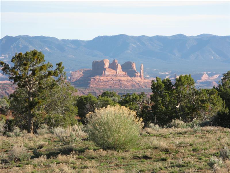 IMG_0087 (Medium).JPG