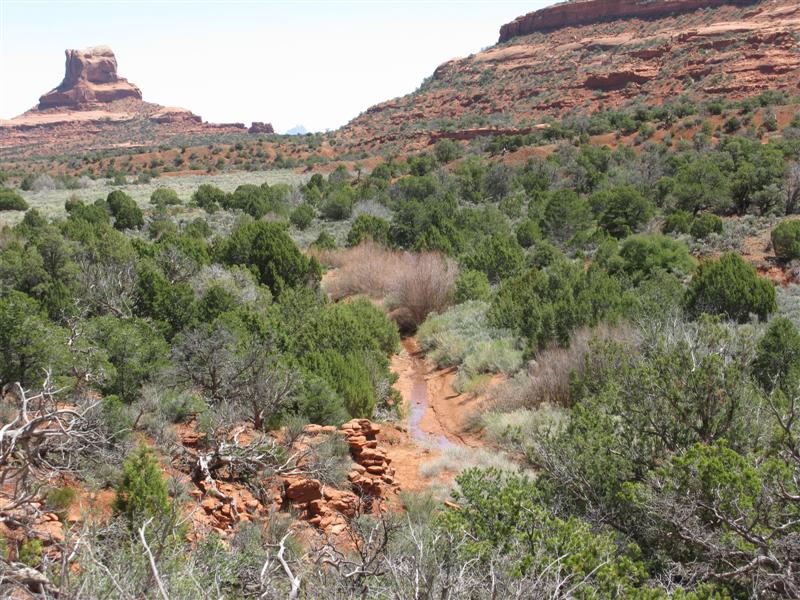 IMG_0109 (Medium).JPG