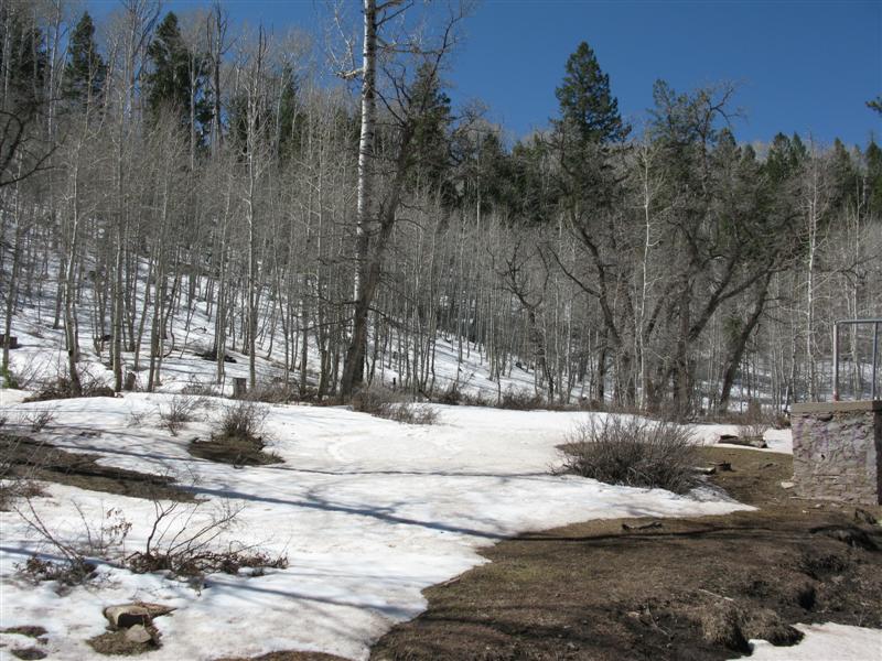 IMG_0004 (Medium).JPG