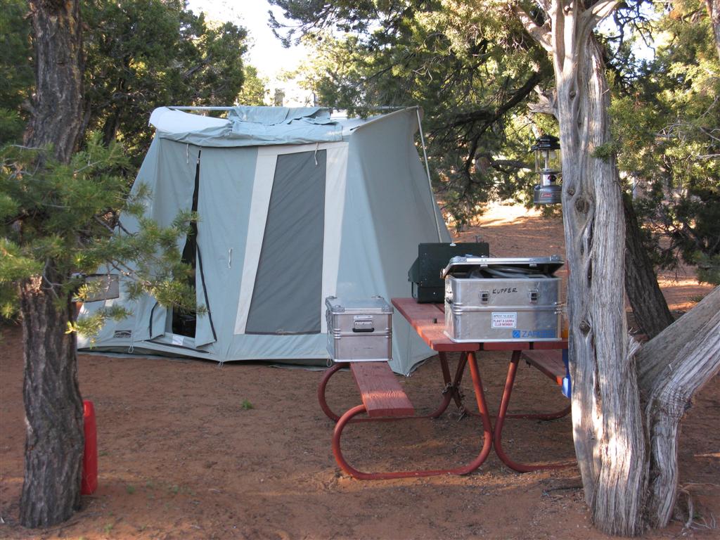 IMG_0379 (Large).JPG