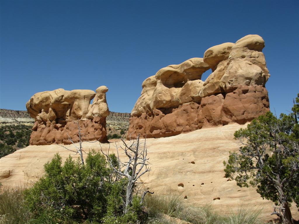 IMG_0364 (Large).JPG