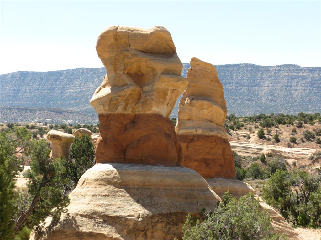 IMG_0366 (Large).JPG