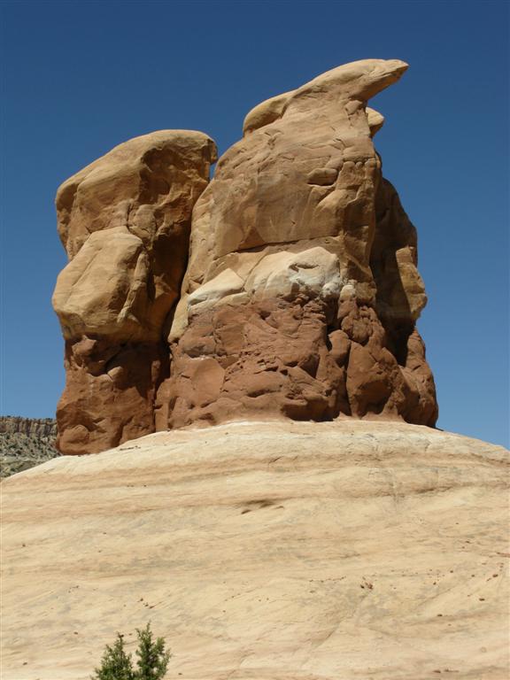 IMG_0374 (Large).JPG