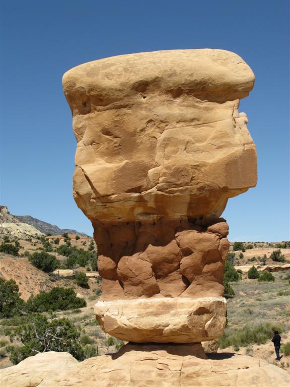 IMG_0383 (Large).JPG