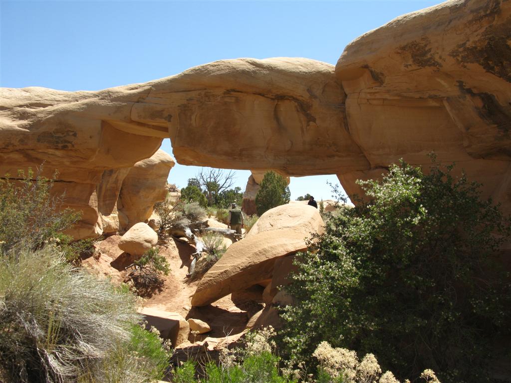 IMG_0395 (Large).JPG