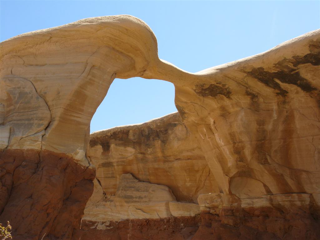 IMG_0406 (Large).JPG